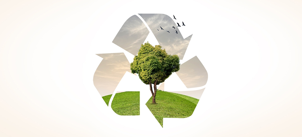 eco-focus